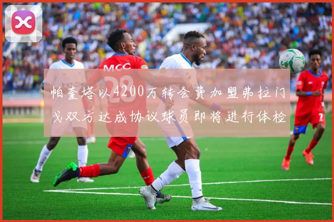 帕奎塔以4200万转会费加盟弗拉门戈双方达成协议球员即将进行体检