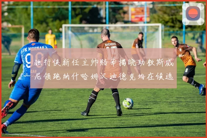 独行侠新任主帅赔率揭晓助教斯威尼领跑纳什哈姆汉迪德克均在候选之中