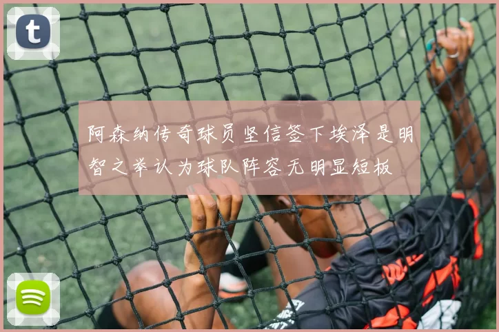 阿森纳传奇球员坚信签下埃泽是明智之举认为球队阵容无明显短板